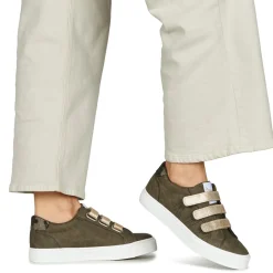 Sale Kaporal - TIPPYK Kaki