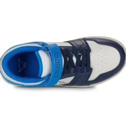 Kappa - RERNAL EV KID Clearance