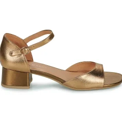 Karston - AMBER Doré Best