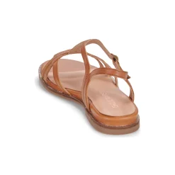 Karston - SOBIO Camel Hot