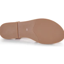 Karston - SOBIO Camel Hot