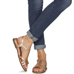 Online Karston - SOBIO Doré