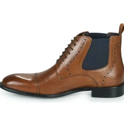 Online Kdopa - ALCOVIA Camel