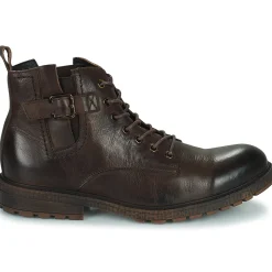 Kdopa - ALEGRE Marron Best