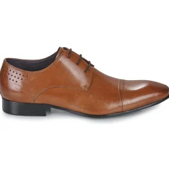 Kdopa - ALONSO Camel