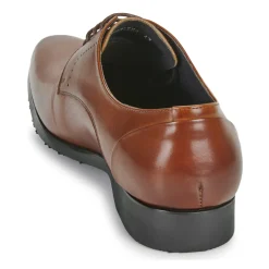 Clearance Kdopa - CARLIER Camel