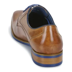 Best Kdopa - GAHAN Camel