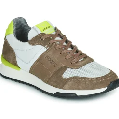 Kdopa - GREGOR Marron Online