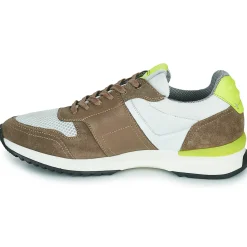 Kdopa - GREGOR Marron Online