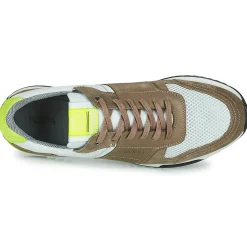 Kdopa - GREGOR Marron Online