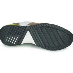 Kdopa - GREGOR Marron Online