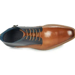 Kdopa - HARRIS Clearance