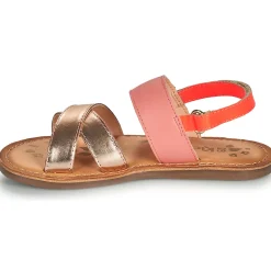 Kickers - DYACROSS Rose Sale