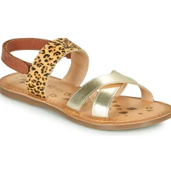 Clearance Kickers - DYACROSS Doré