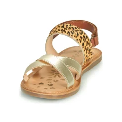 Clearance Kickers - DYACROSS Doré