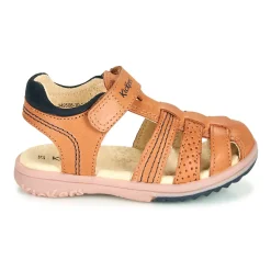 Hot Kickers - PLATINIUM Camel