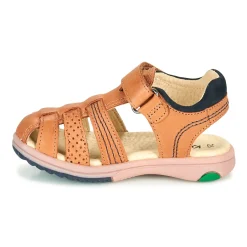 Hot Kickers - PLATINIUM Camel