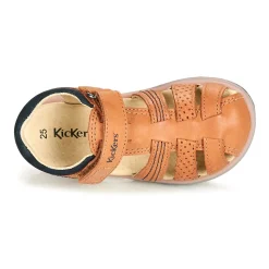 Hot Kickers - PLATINIUM Camel