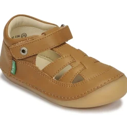 Best Kickers - SUSHY Camel