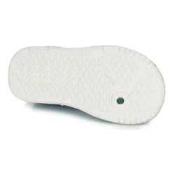 Clearance Kickers - WHATSUP Bleu