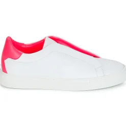 KLOM - KISS Clearance