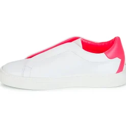 KLOM - KISS Clearance