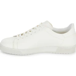 KOST - HOMERUN 2R VGT