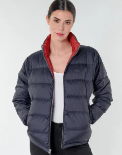 Lacoste - BF8987 Marine New