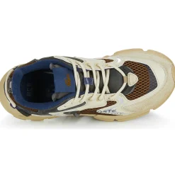 Sale Lacoste - L003 Marron