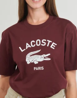 New Lacoste - TH2733 Bordeaux