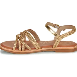 L'Atelier Tropézien - SH1344