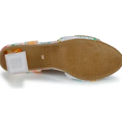 Laura Vita - HACSIO Anis