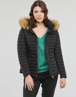 Les Petites Bombes - ALIMA