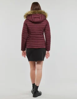 Les Petites Bombes - ALIMA Bordeaux Hot