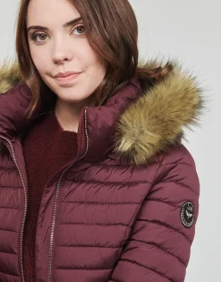 Les Petites Bombes - ALIMA Bordeaux Hot