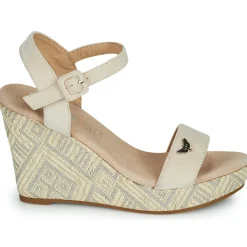 Les Petites Bombes - DALA