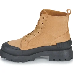 Les Petites Bombes - ENYA Camel