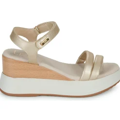 Les Petites Bombes - FIONA