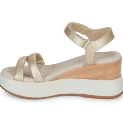 Les Petites Bombes - FIONA