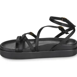 Les Petites Bombes - LEZINE