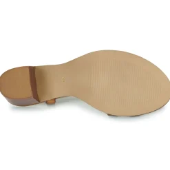 Les Tropéziennes par M Belarbi - LINALIE Cognac Online