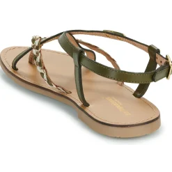 Sale Les Tropéziennes par M Belarbi - CHOU KakiDoré