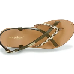 Sale Les Tropéziennes par M Belarbi - CHOU KakiDoré