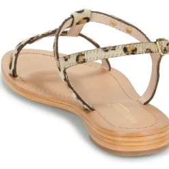 Les Tropéziennes par M Belarbi - HAMAT Léopard Online