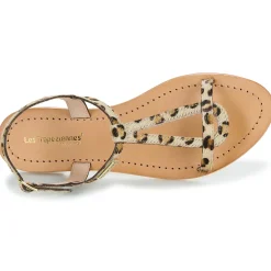 Les Tropéziennes par M Belarbi - HAMAT Léopard Online