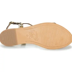 Les Tropéziennes par M Belarbi - HAMAT Léopard Online