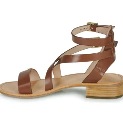 New Les Tropéziennes par M Belarbi - HOCEAN Marron