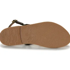 Les Tropéziennes par M Belarbi - BATRESSE Clearance