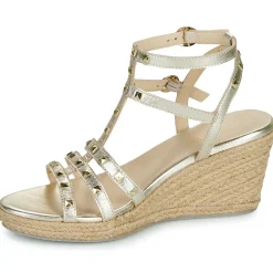 Les Tropéziennes par M Belarbi - LILI Doré