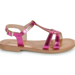 Les Tropéziennes par M Belarbi - BACKLE Rose Outlet